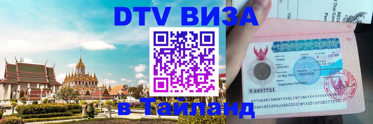 Оформление DTV визы под ключ: стоимость и тарифы, только загранпаспорт - Кишинёв  03.10.2025 